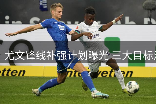 尤文锋线补强计划曝光 三大目标浮出水面引热议