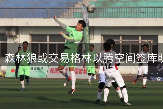 森林狼或交易格林以腾空间签库明加
