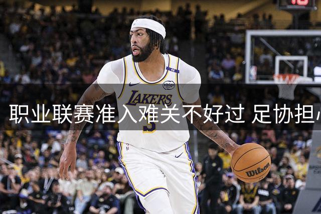 职业联赛准入难关不好过 足协担心并不是多余
