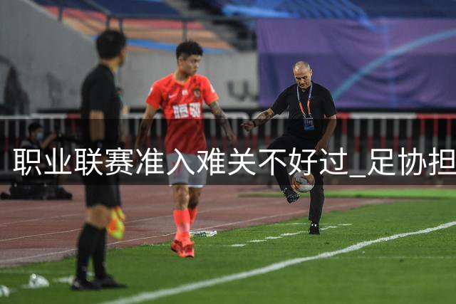 职业联赛准入难关不好过 足协担心并不是多余