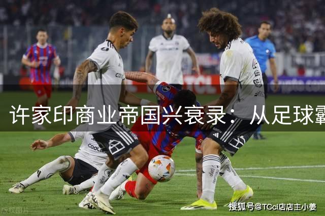 许家印商业帝国兴衰录：从足球霸主到阶下囚