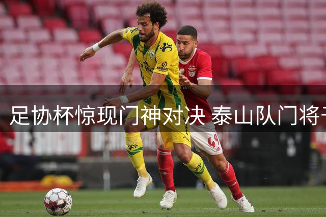 足协杯惊现门神对决 泰山队门将于金永三拒点球夺冠